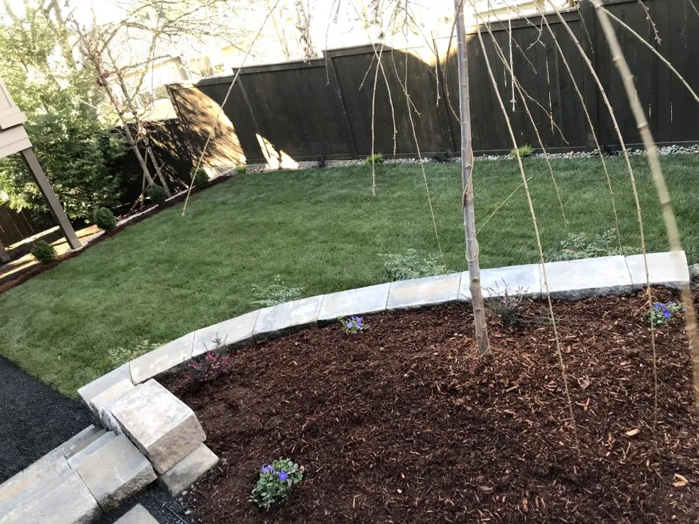 Expert lawn care service in Hillsboro, OR by Zamora Landscaping