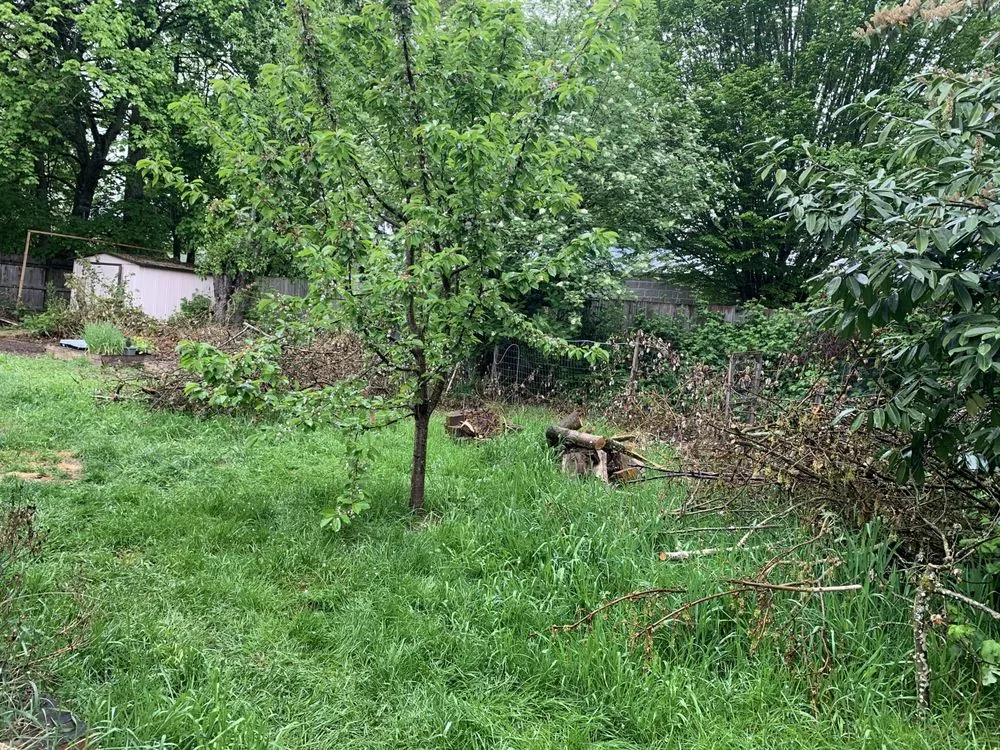 Expert lawn mowing service in Hillsboro, OR - Zamora Landscaping