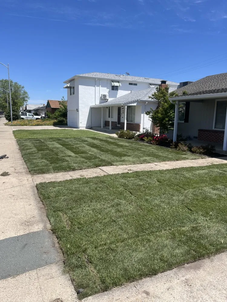 Trusted lawn care service with custom design across Stockton, CA - Zamora Outdoor Environments