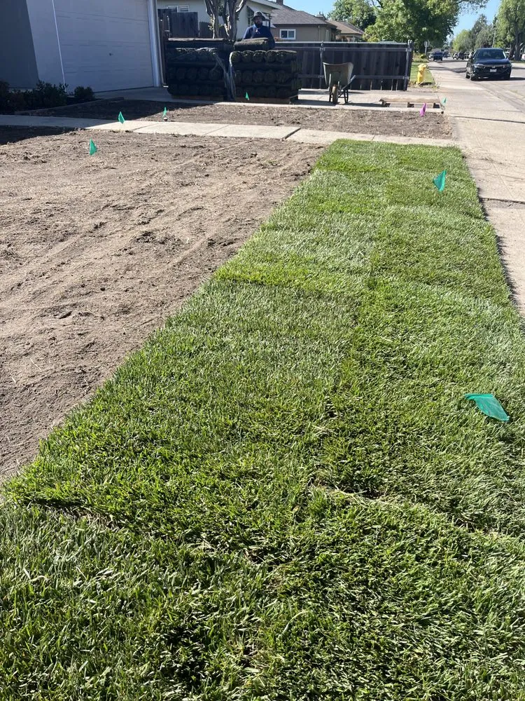 Professional garden landscaping in Stockton, CA by Zamora Outdoor Environments