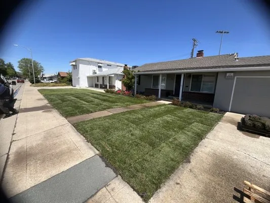 Zamora Outdoor Environments Logo