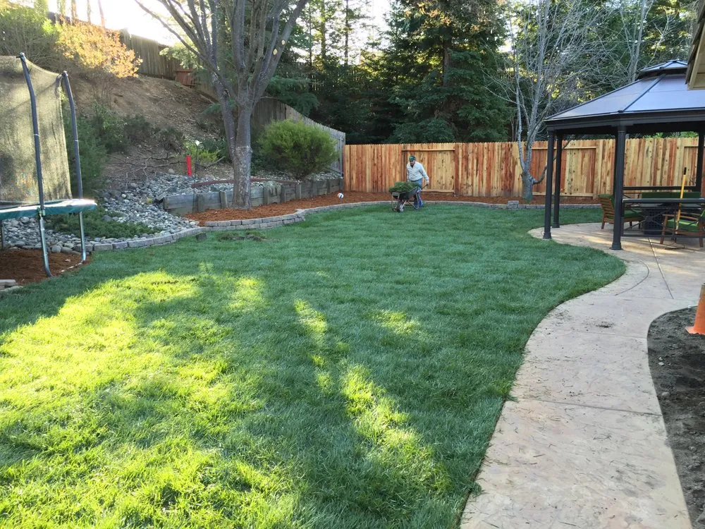 Custom yard cleanup service in Butte City, CA by Zamora Sod Farm