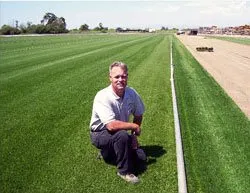 Professional landscaping services experts serving Butte City, CA - Zamora Sod Farm