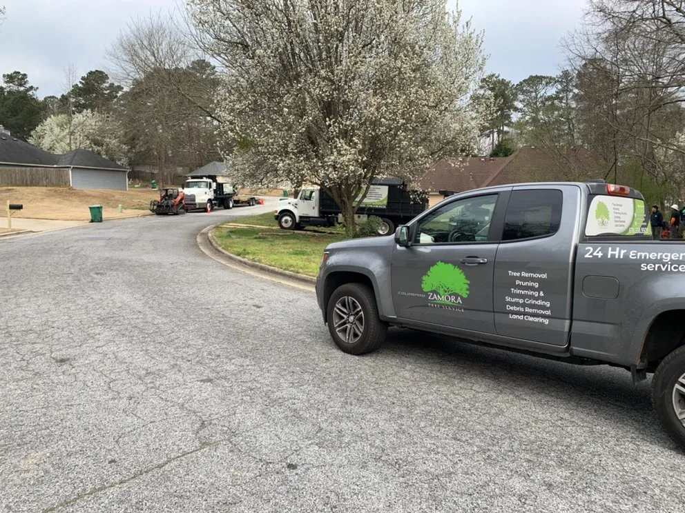 Top-rated yard maintenance in Lawrenceville, GA by Zamora Tree Service