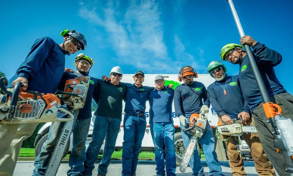 Professional lawn care service experts serving Lawrenceville, GA - Zamora Tree Service