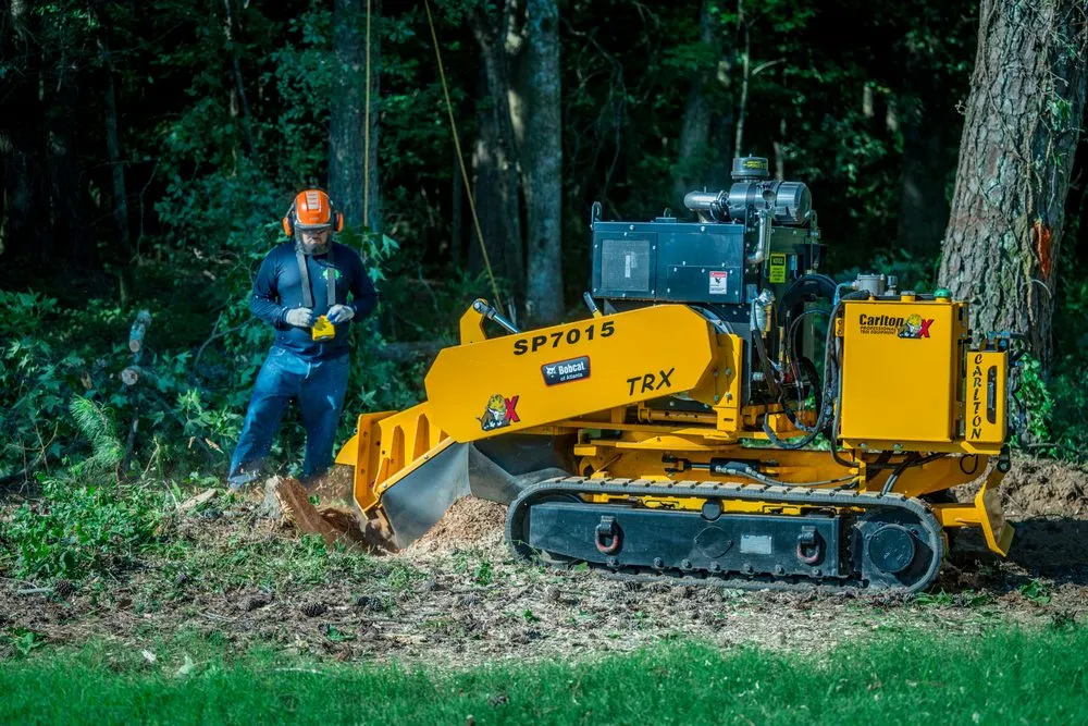 Local landscape design in Lawrenceville, GA by Zamora Tree Service