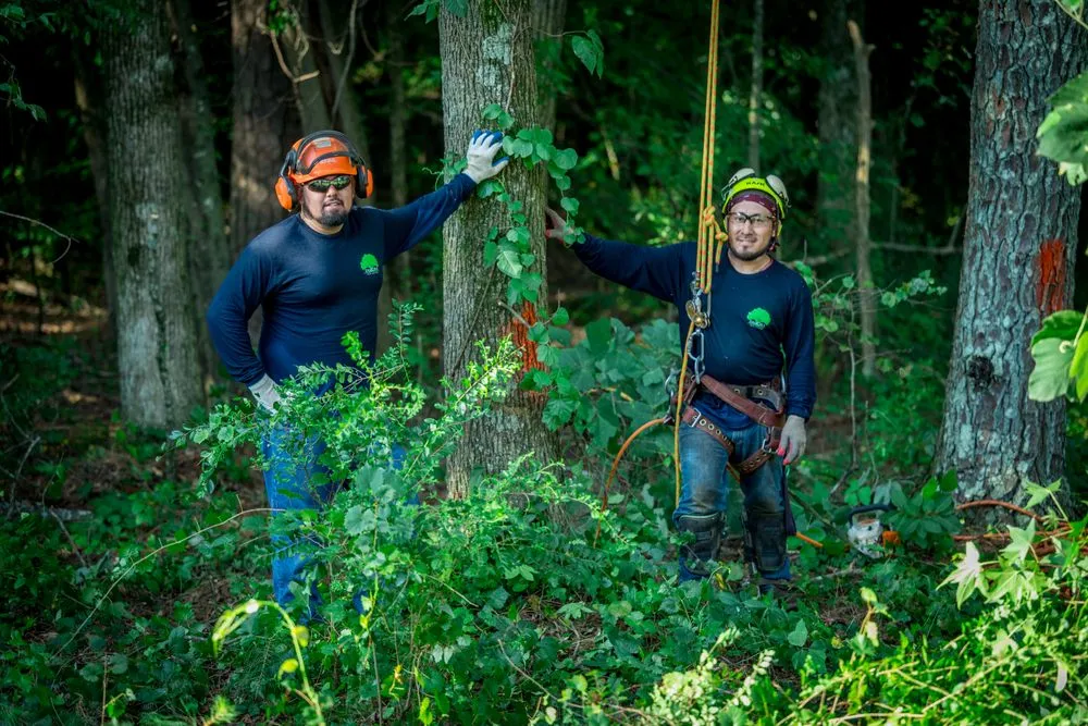 Professional lawn mowing service in Lawrenceville, GA by Zamora Tree Service
