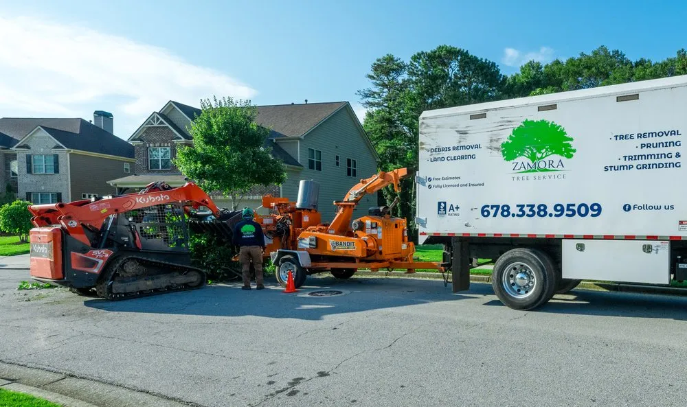 Custom yard cleanup service in Lawrenceville, GA by Zamora Tree Service