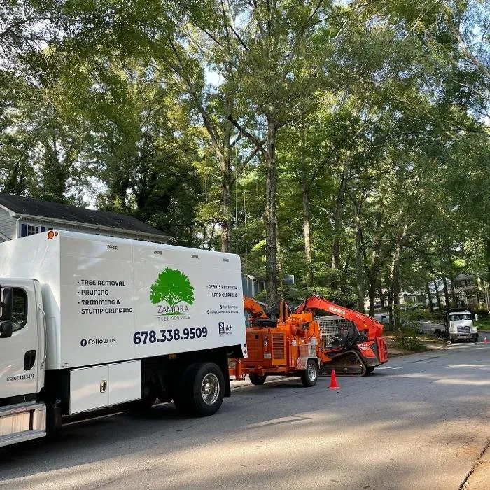 Local landscape installation in Lawrenceville, GA - Zamora Tree Service