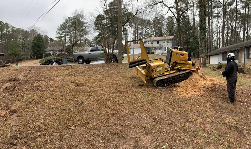Professional garden landscaping experts serving Lawrenceville, GA - Zamora Tree Service