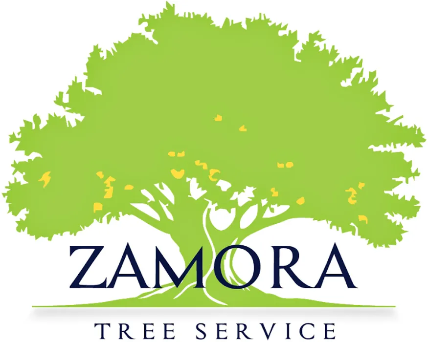 Top-rated outdoor landscaping experts serving Lawrenceville, GA - Zamora Tree Service