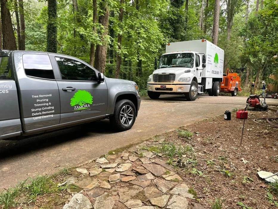 Local landscaping services for homes across Lawrenceville, GA - Zamora Tree Service