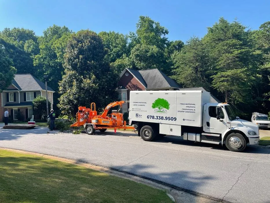 Reliable landscaping services for outdoor upgrades across Lawrenceville, GA - Zamora Tree Service