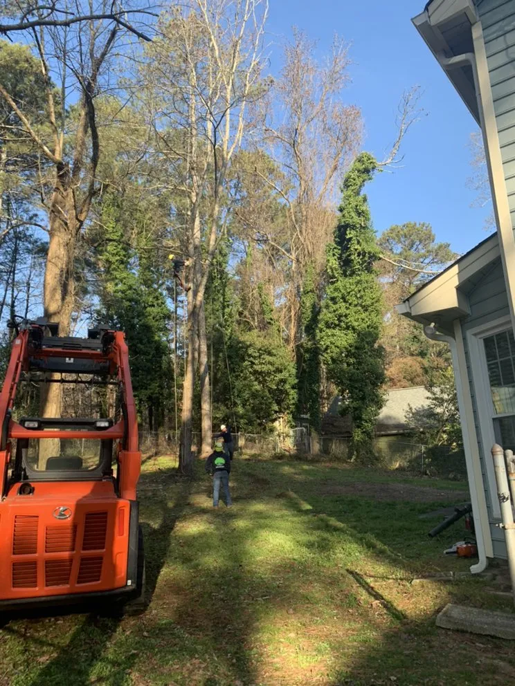 Reliable landscape design in Lawrenceville, GA - Zamora Tree Service