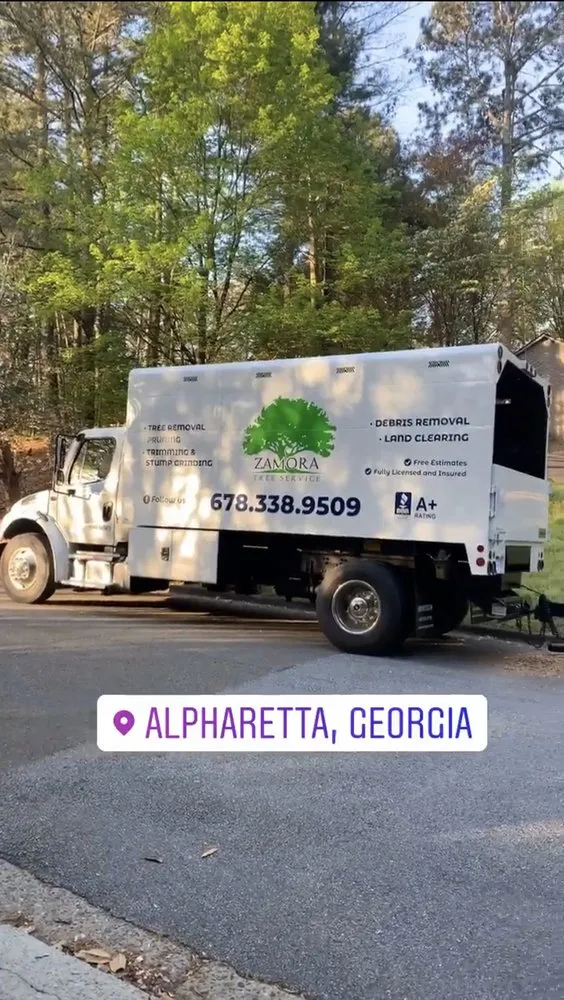 Top-rated garden landscaping for year-round maintenance in Lawrenceville, GA by Zamora Tree Service