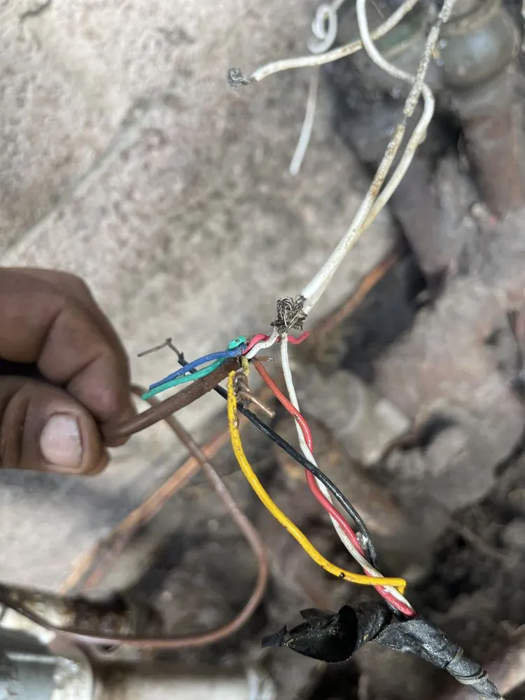 Professional landscaping services in San Bernardino, CA by Zamorano Landscape