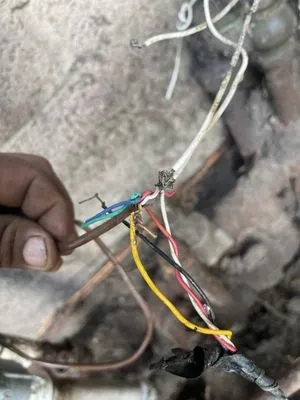 Zamorano Landscape Logo