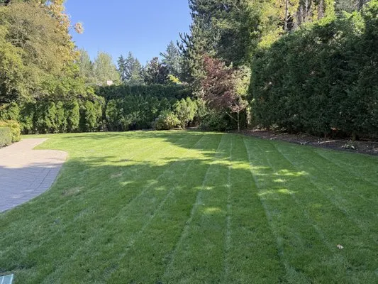 Zamorano Landscaping Logo