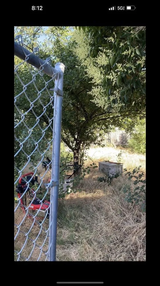 Expert lawn care service experts serving Sacramento, CA - Zamorano Landscaping