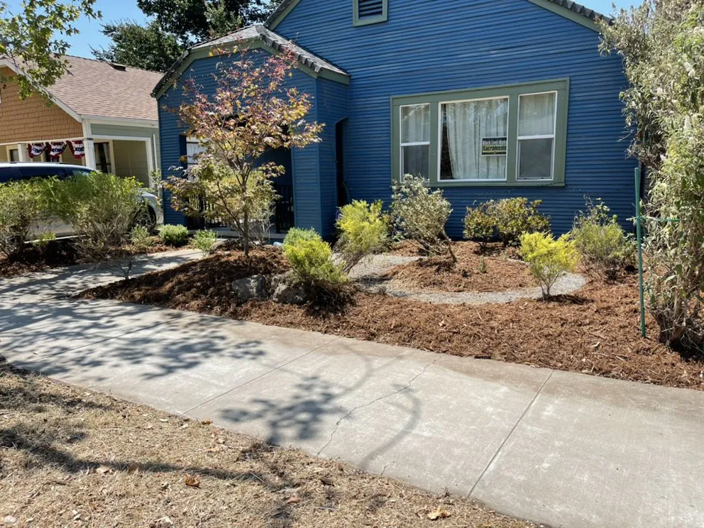 Reliable landscaping services for outdoor upgrades in Sacramento, CA by Zamorano Landscaping