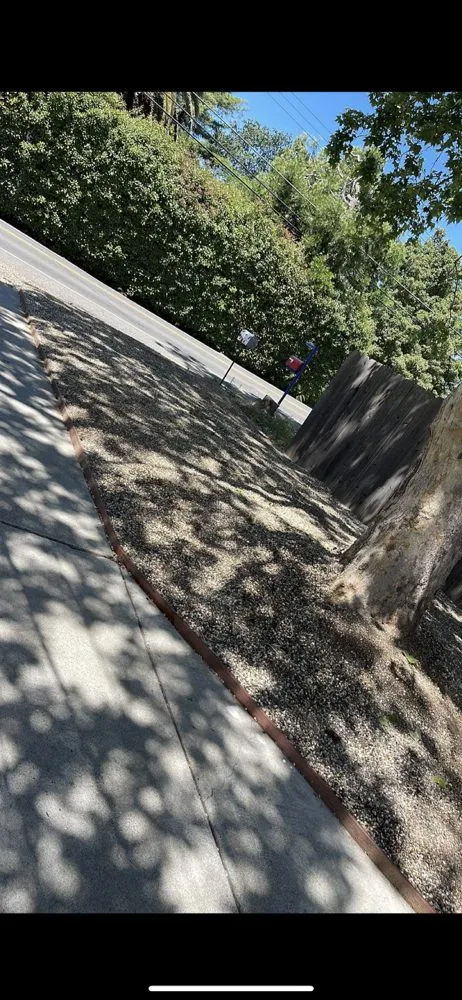 Professional lawn mowing service in Sacramento, CA by Zamorano Landscaping