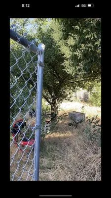 Zamorano Landscaping Logo