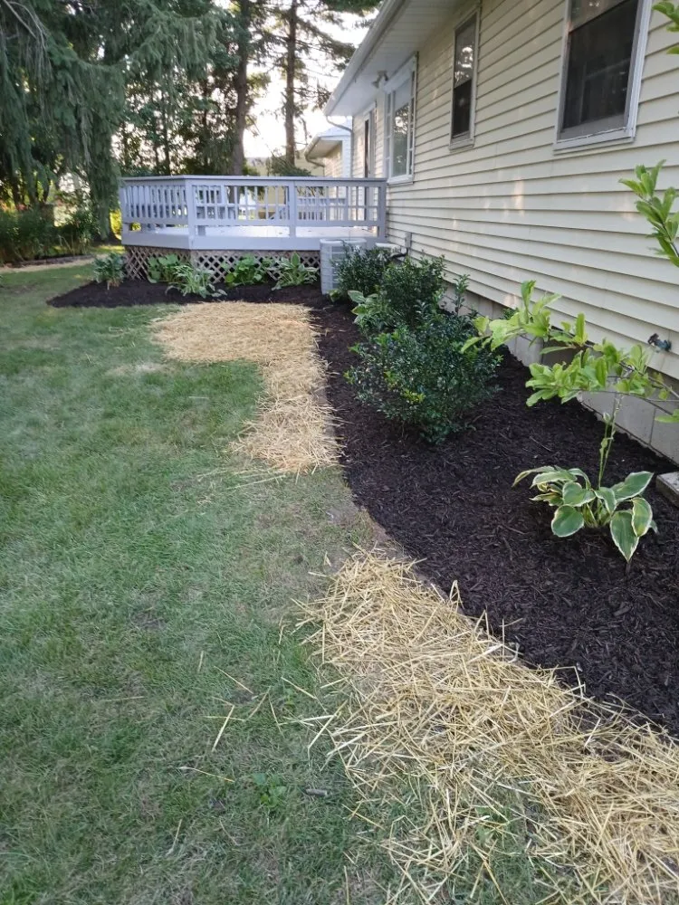 Expert residential landscaping in Shelby, OH by Zamorano's Landscaping