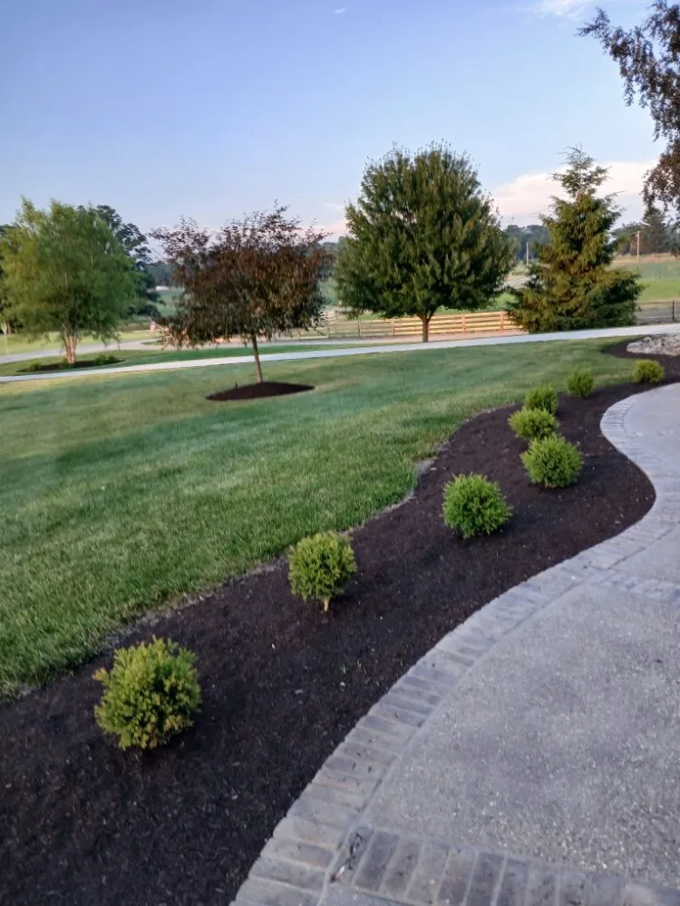 Local landscape design for year-round maintenance across Shelby, OH - Zamorano's Landscaping