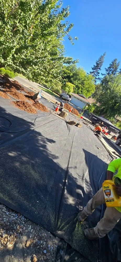 Top-rated residential landscaping in North Highlands, CA by Zamora's Landscaping