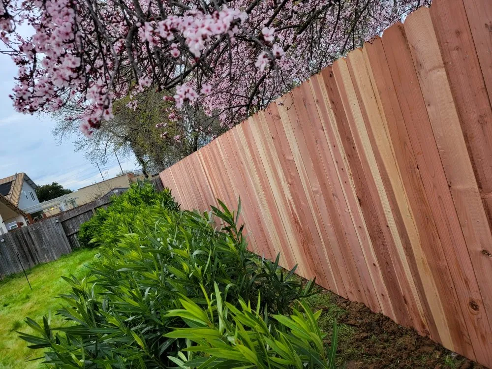 Custom landscape installation for year-round maintenance in North Highlands, CA by Zamora's Landscaping