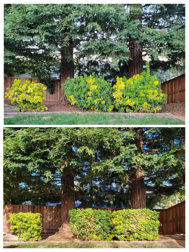 Expert yard maintenance near you across North Highlands, CA - Zamora's Landscaping