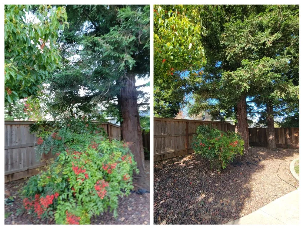 Affordable landscape installation for outdoor upgrades in North Highlands, CA by Zamora's Landscaping