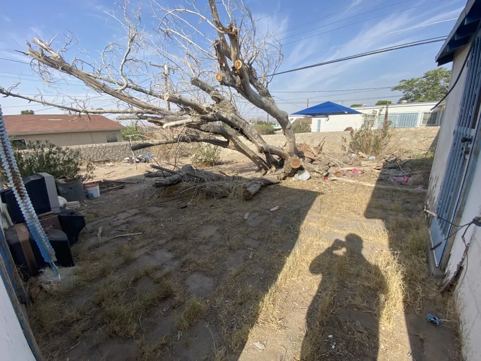 Top-rated outdoor landscaping in El Paso, TX - Zamora’s Yard Cleanup & Junk Removal