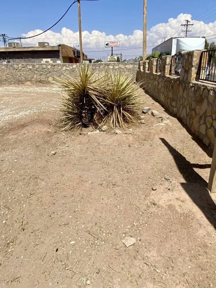 Professional lawn mowing service in El Paso, TX by Zamora’s Yard Cleanup & Junk Removal