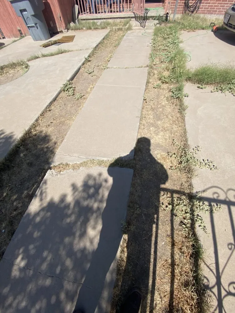 Reliable garden landscaping with custom design in El Paso, TX by Zamora’s Yard Cleanup & Junk Removal