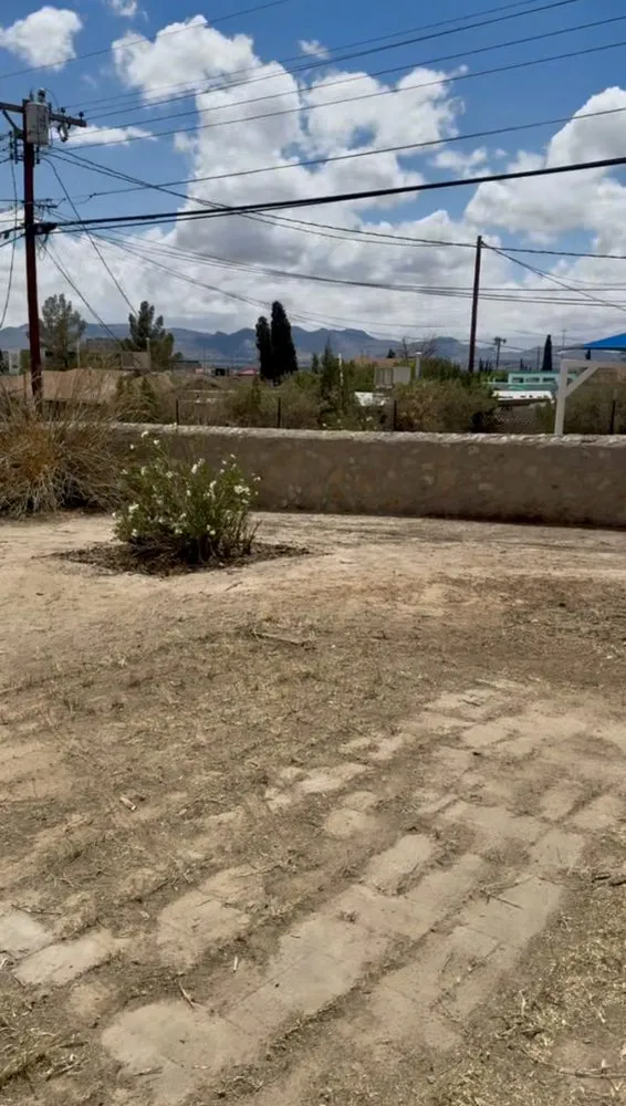 Professional landscaping services experts serving El Paso, TX - Zamora’s Yard Cleanup & Junk Removal