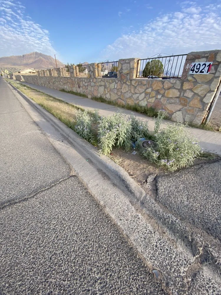 Professional garden landscaping in El Paso, TX by Zamora’s Yard Cleanup & Junk Removal