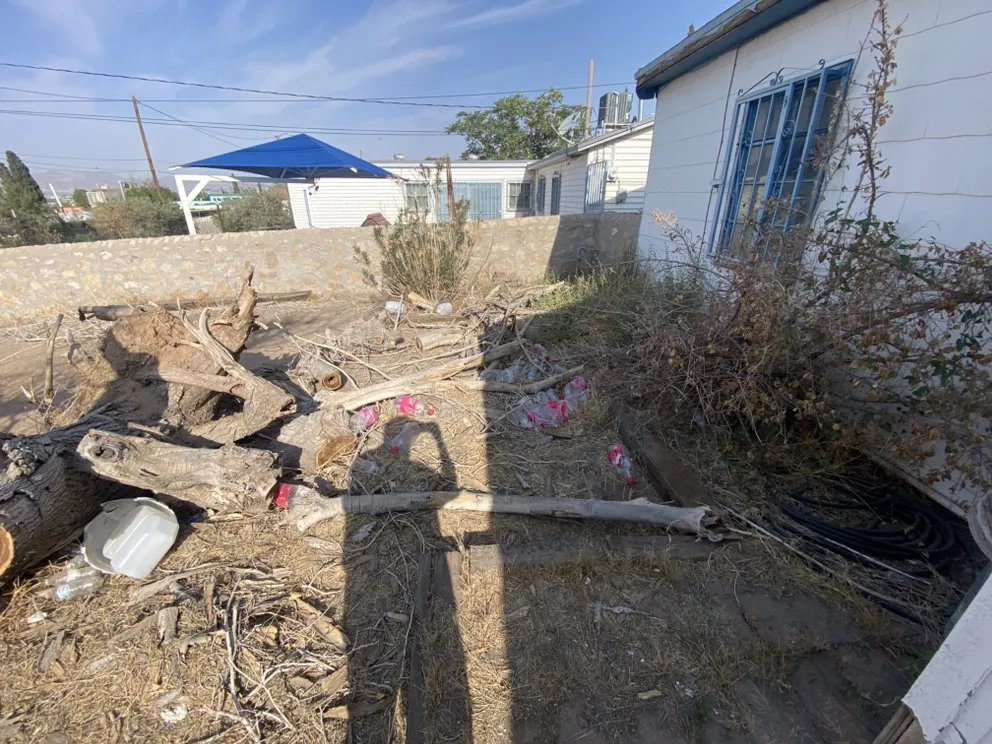 Local lawn care service in El Paso, TX by Zamora’s Yard Cleanup & Junk Removal