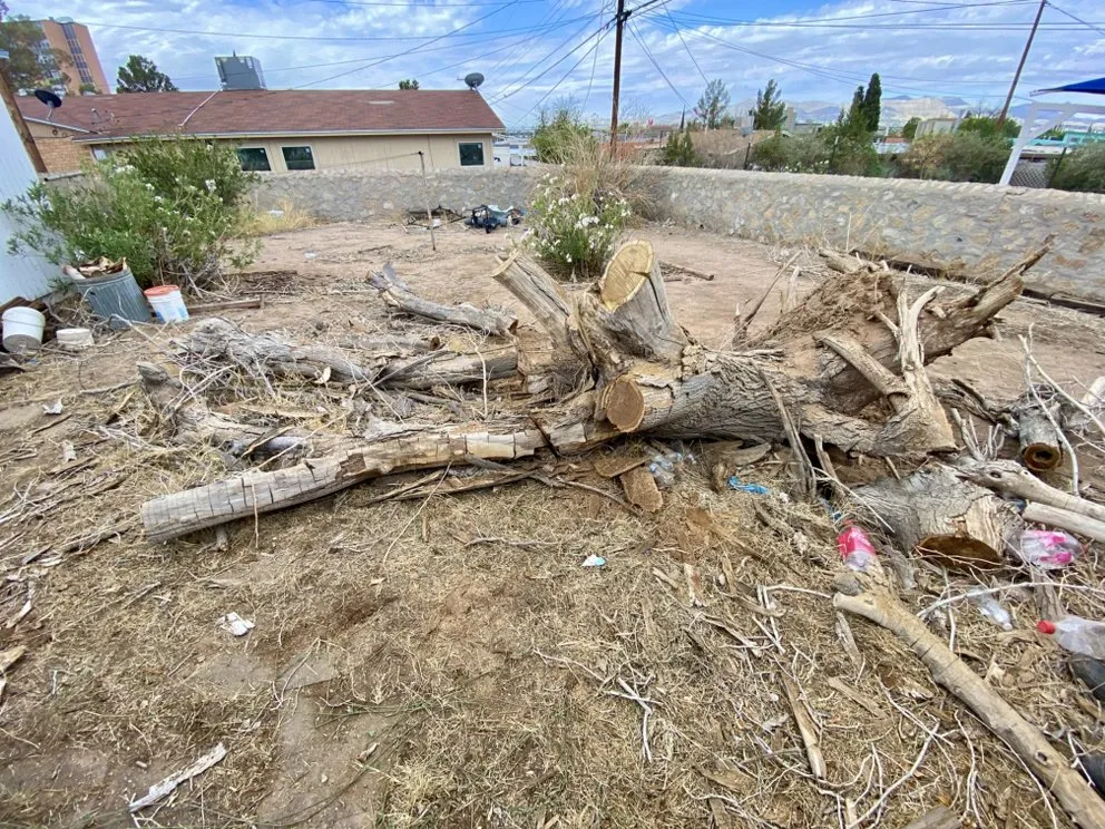 Professional landscape installation with custom design in El Paso, TX by Zamora’s Yard Cleanup & Junk Removal