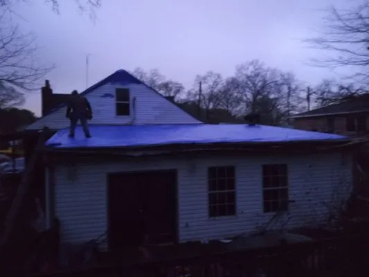 Zamors' Tree Expert Logo