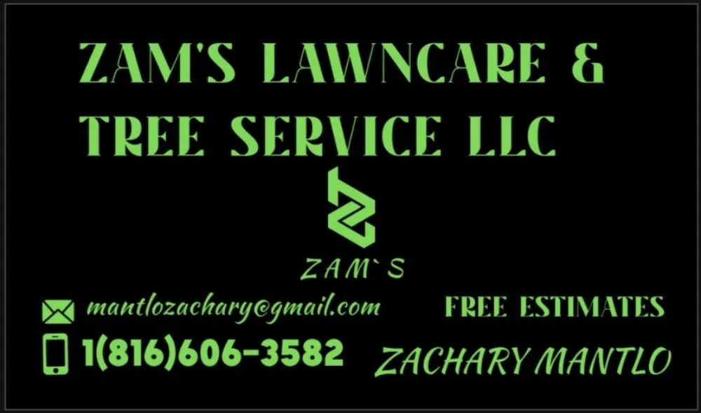 Professional yard maintenance in Trimble, MO by Zam's Lawncare & Tree Service