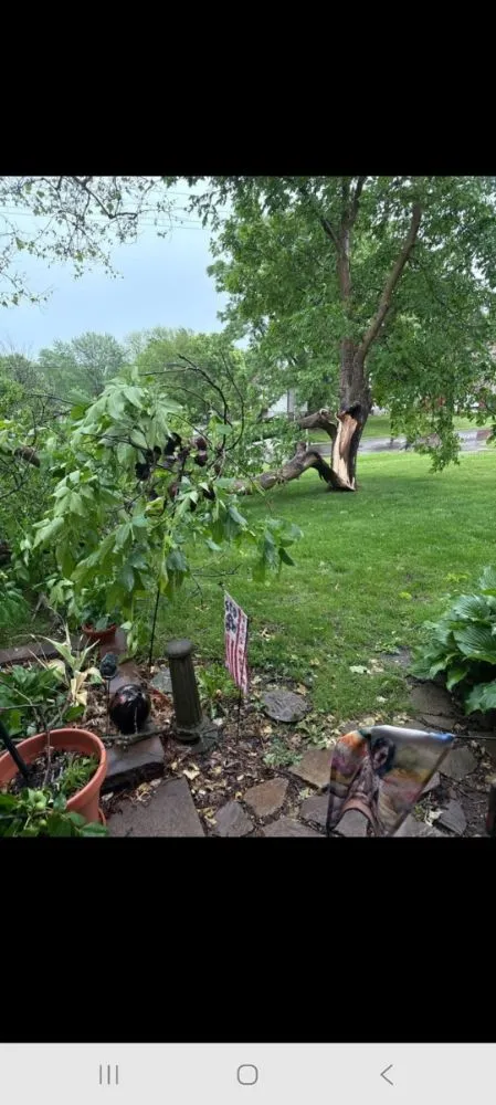 Professional residential landscaping for residential properties in Trimble, MO by Zam's Lawncare & Tree Service