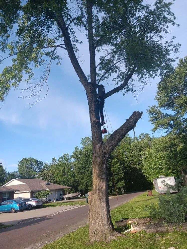 Trusted landscape installation near you in Trimble, MO by Zam's Lawncare & Tree Service