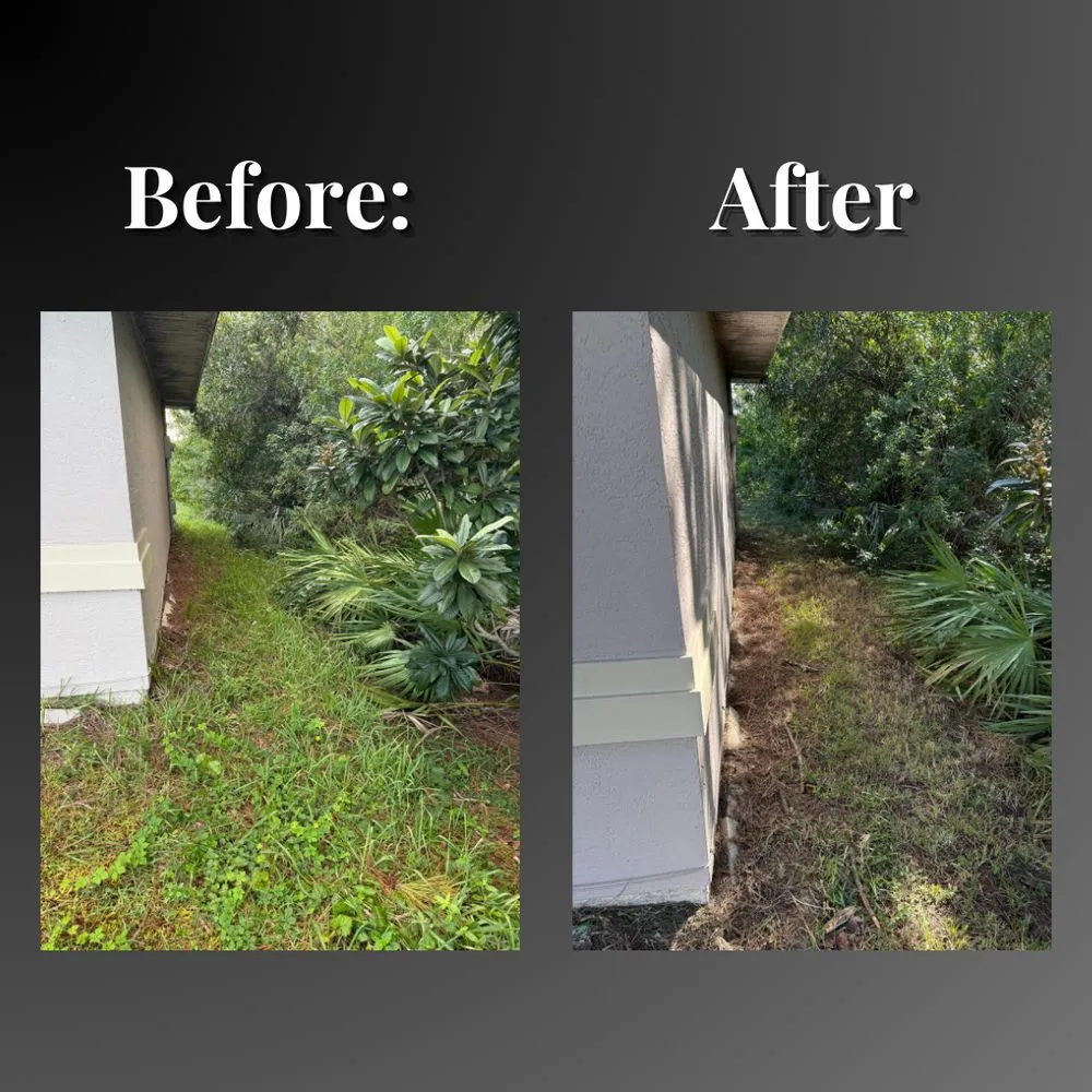 Affordable landscaping services experts serving Vero Beach, FL - Zamudio's Lawn Maintenance & More