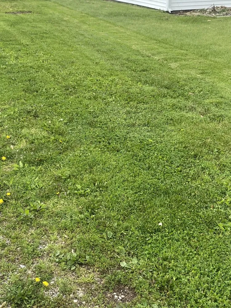 Reliable yard maintenance for homes across Fort Wayne, IN - Zane’s Landscaping