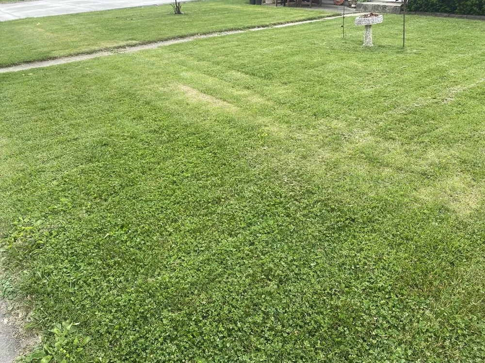 Reliable lawn mowing service for year-round maintenance across Fort Wayne, IN - Zane’s Landscaping
