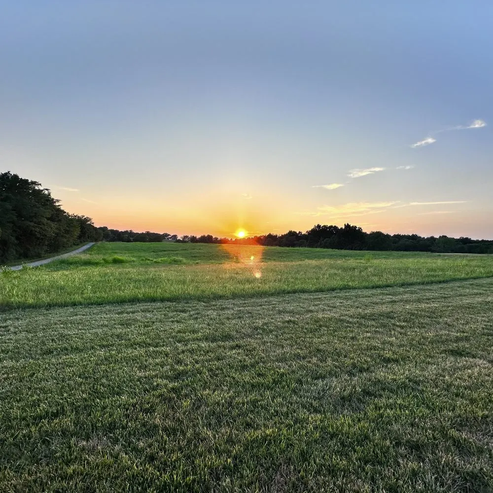 Top-rated landscape installation for homes across Carmi, IL - Zane's Lawn Care