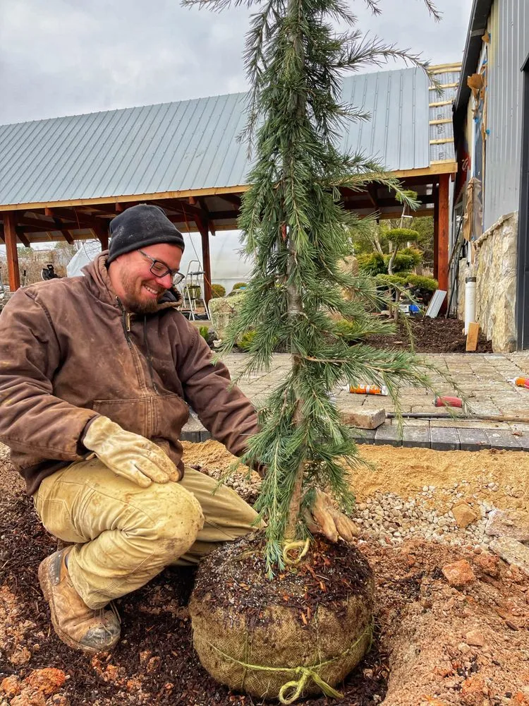 Expert residential landscaping in Branson West, MO by Zanescapes Tree & Yard