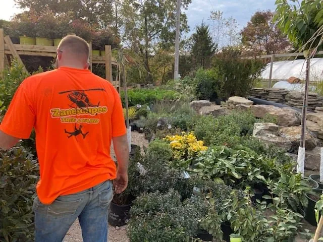 Reliable outdoor landscaping in Branson West, MO by Zanescapes Tree & Yard