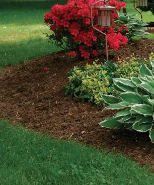 Trusted outdoor landscaping in Valles Mines, MO by Zanescot Kester Lawn & Tree
